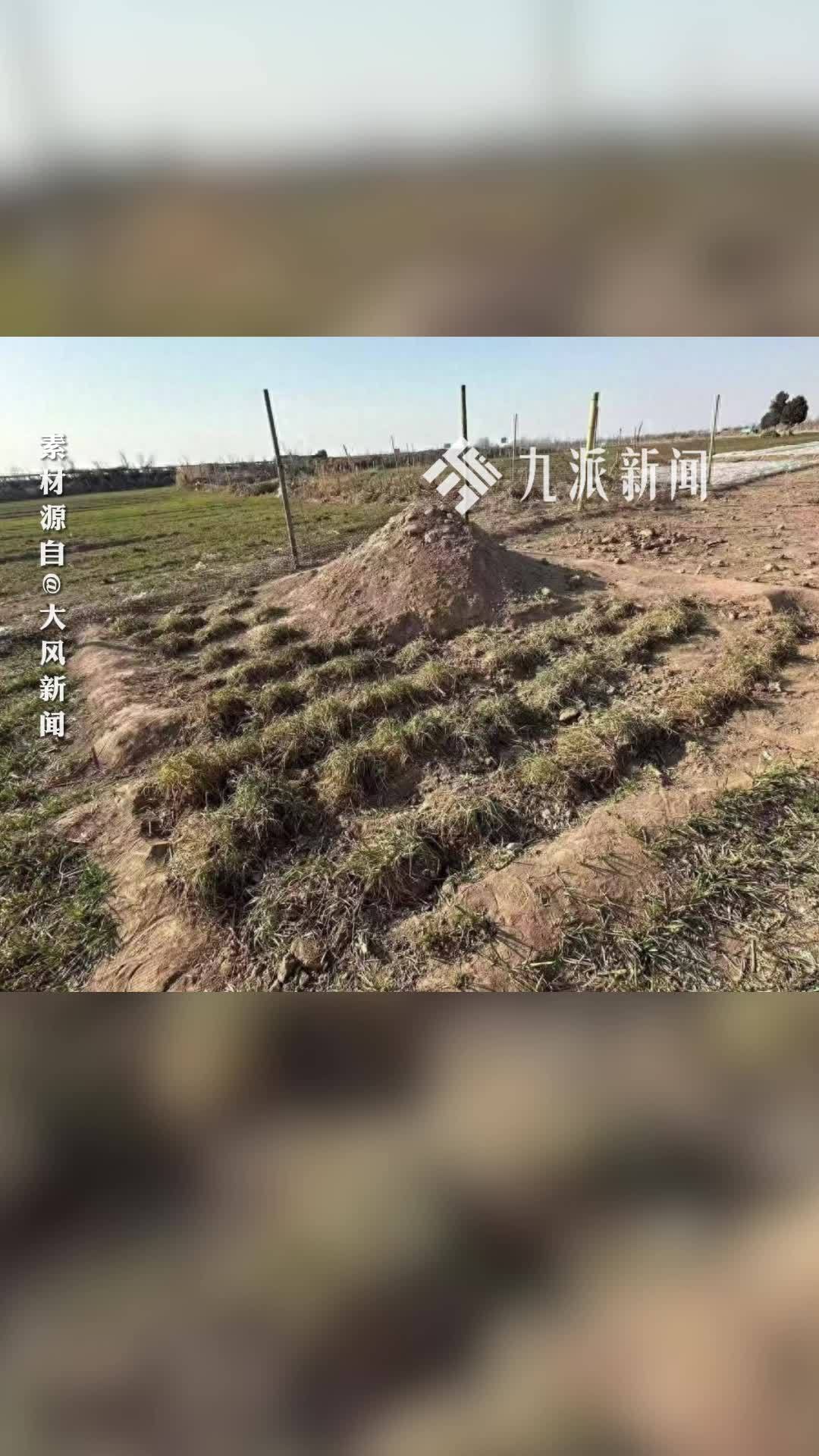 “三姐妹被炸死”案家属称直播遭死亡威胁：报警后警方已立案