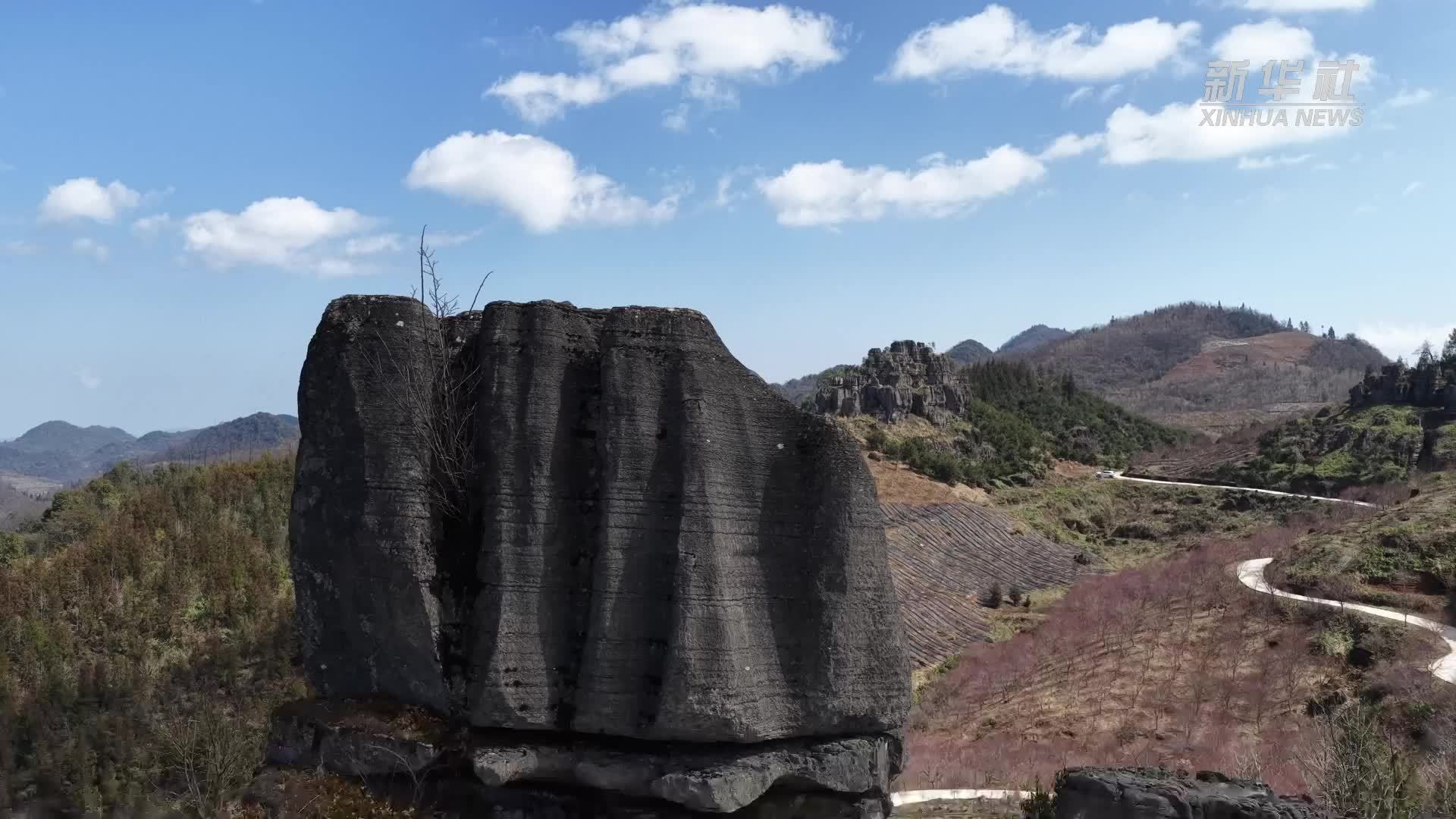 瞰中国丨湖北鹤峰：春染石林