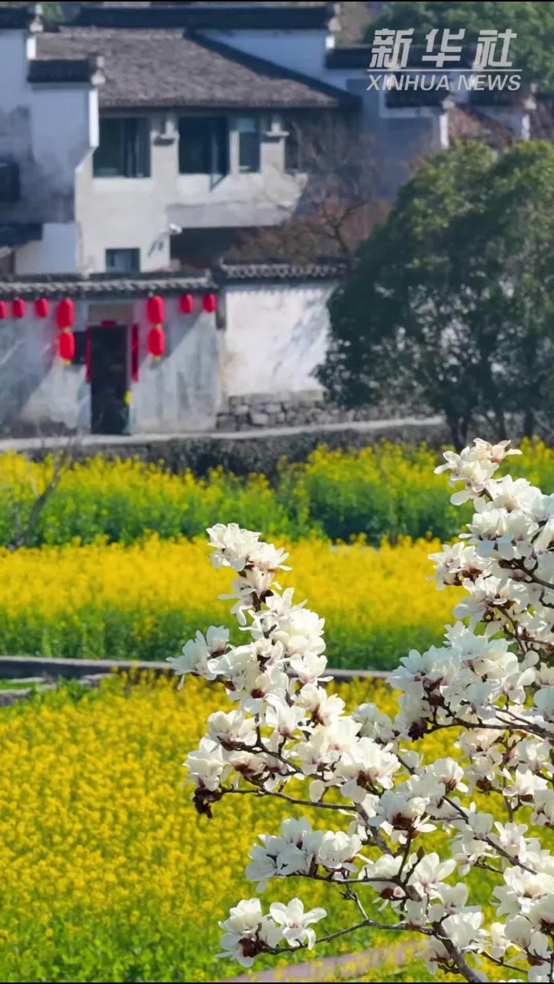 春天里的中国丨春到皖南 风光无限