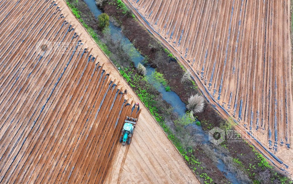 江西泰和：农机覆膜作业忙（图）