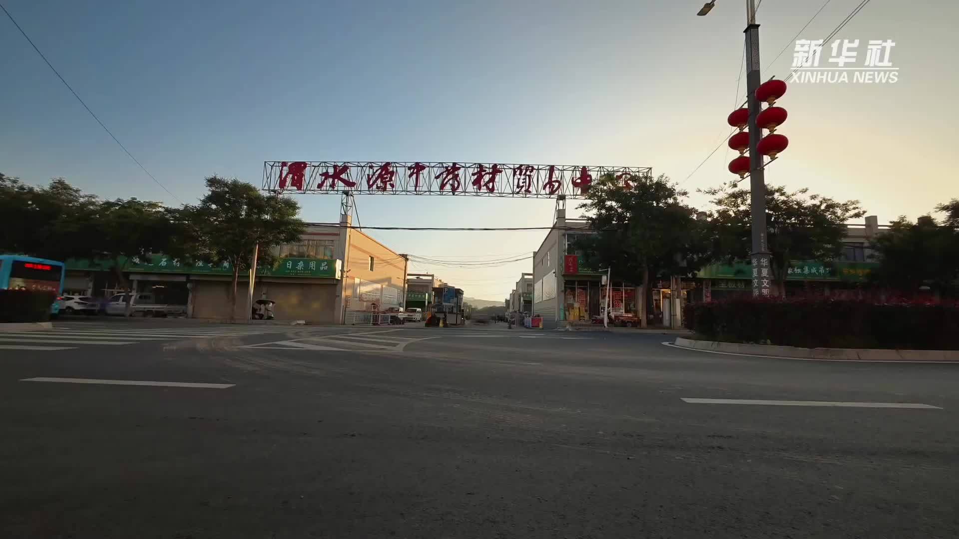 甘肃渭源：中药材市场种苗交易旺