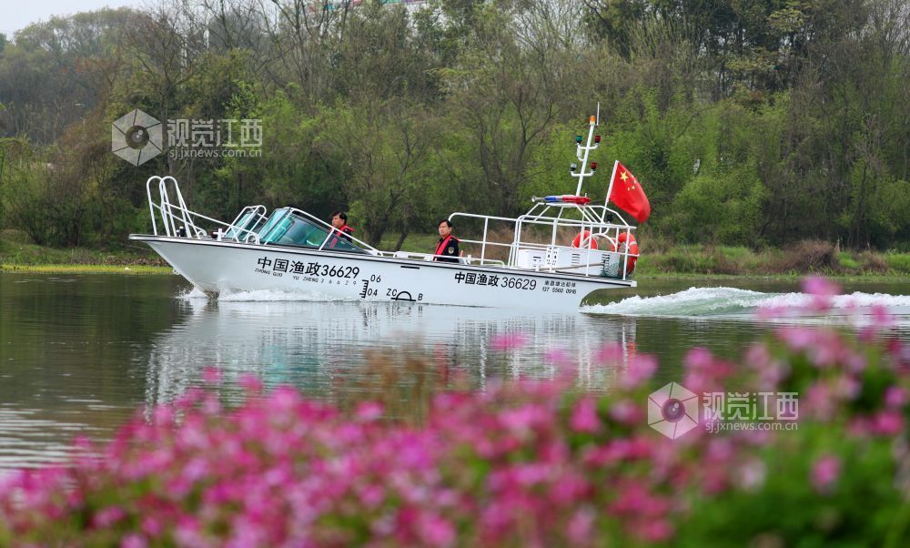 2026年3月18日,江西省吉安市泰和县农业综合行政执法大队执法人员正在赣江泰和段水域进行巡江护水。