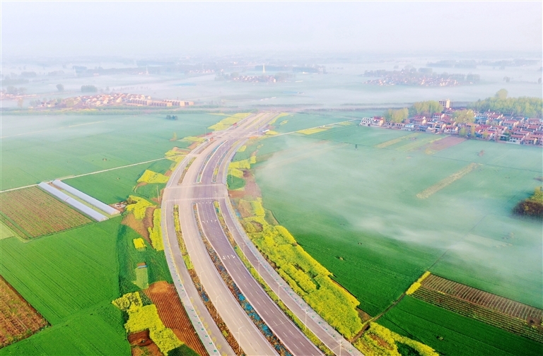 春回大地，周口的田地生机勃勃，绿意盎然。任新军 摄