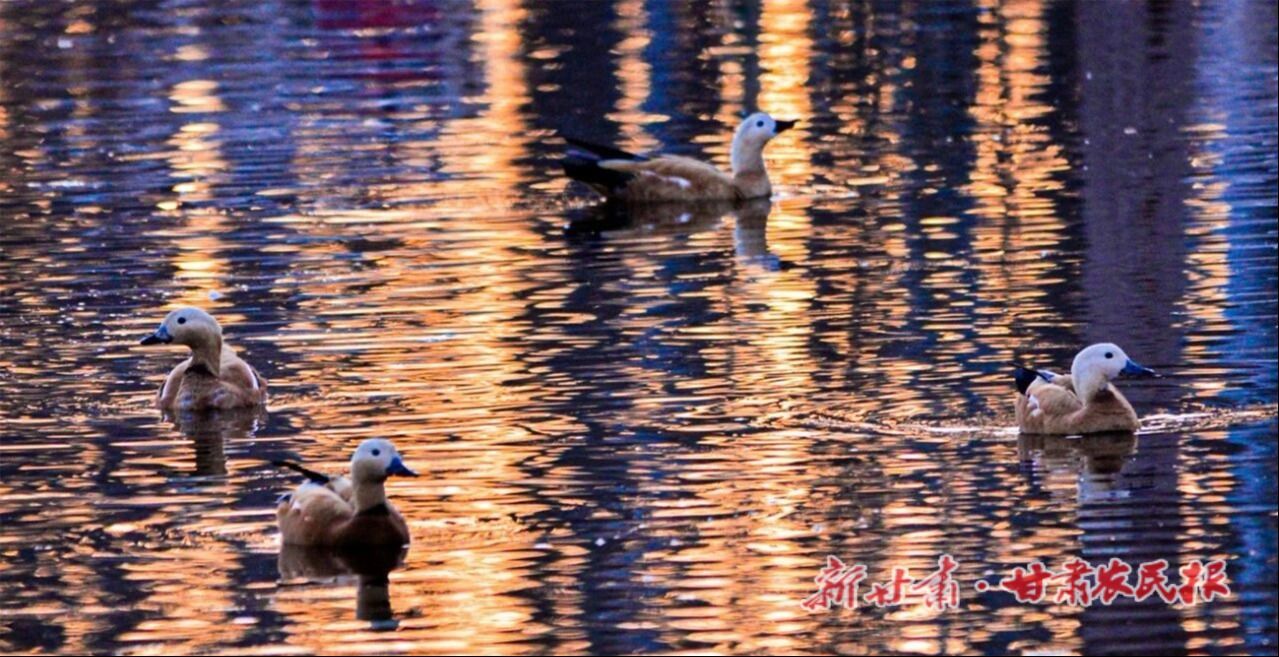 lQDPKHP8fagYLhHNApHNBP-wgySnOBHzqN4JhwguPpKiAA_1279_657