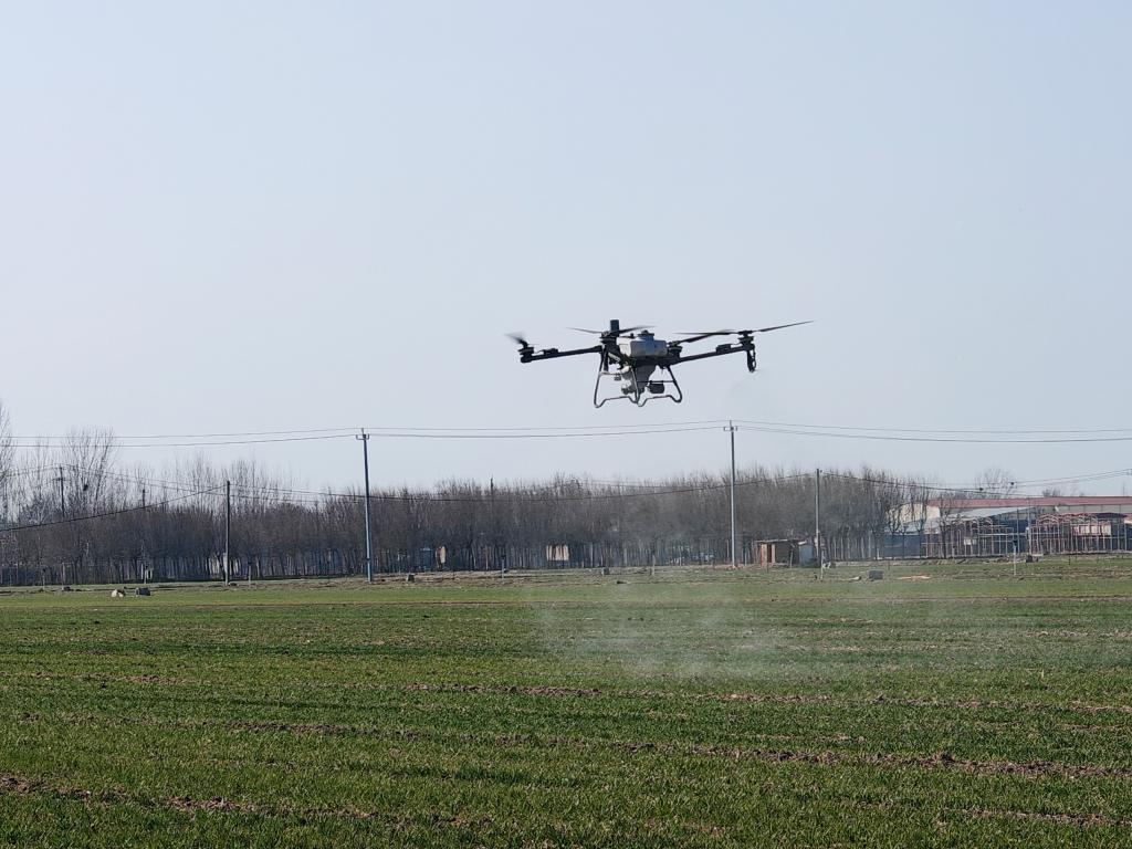 在河北省保定市望都县，植保无人机进行喷药作业。新华社记者 王昆 摄