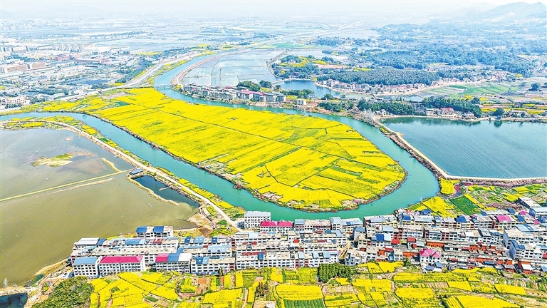 九江柴桑区：乡村田园好风光（图）