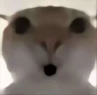 华为史上最大电池,终于定了