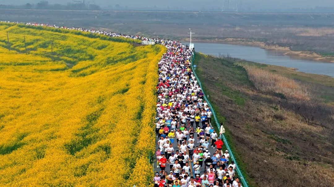 将春日美景转化为人气与商机 南昌赏花经济的农文旅商融合密码