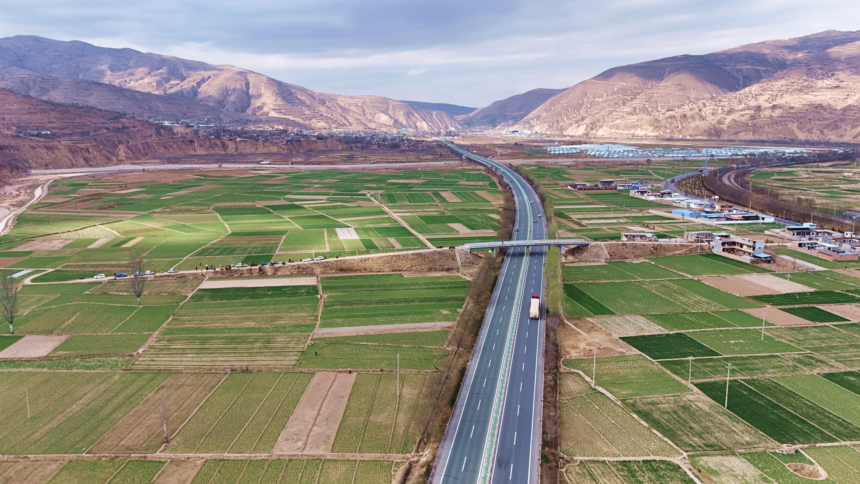 武山冬小麦陆续返青