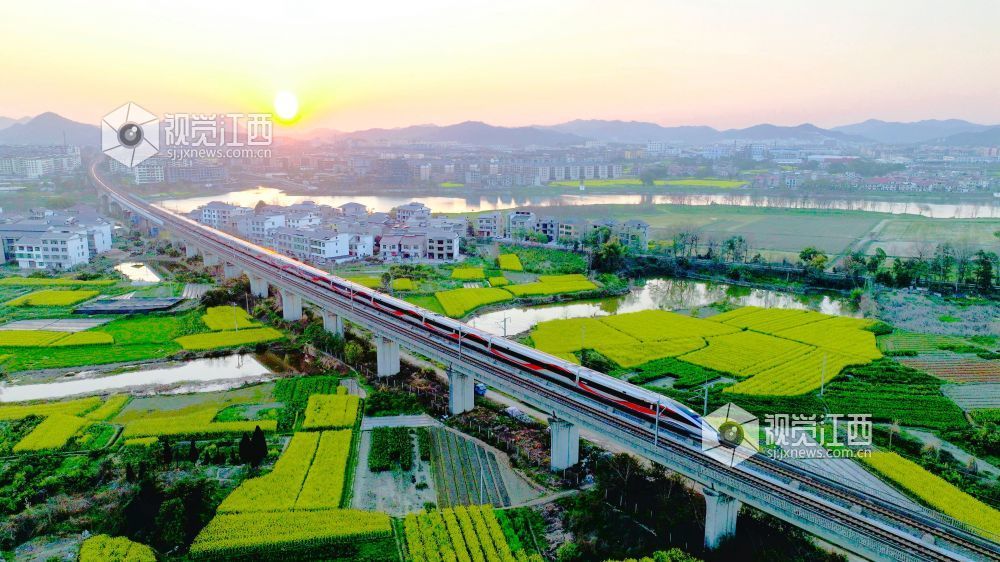江西分宜：高铁穿行花海（图）
