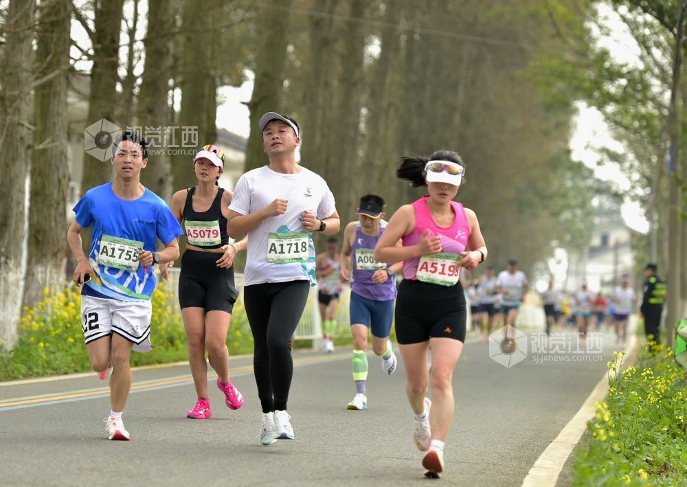 2026年3月15日，南昌半程马拉松开赛，选手们在赛道上奋力奔跑。