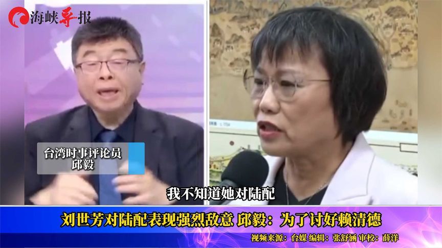 “台独”顽固分子刘世芳对陆配敌意强烈，邱毅：只为讨好赖清德