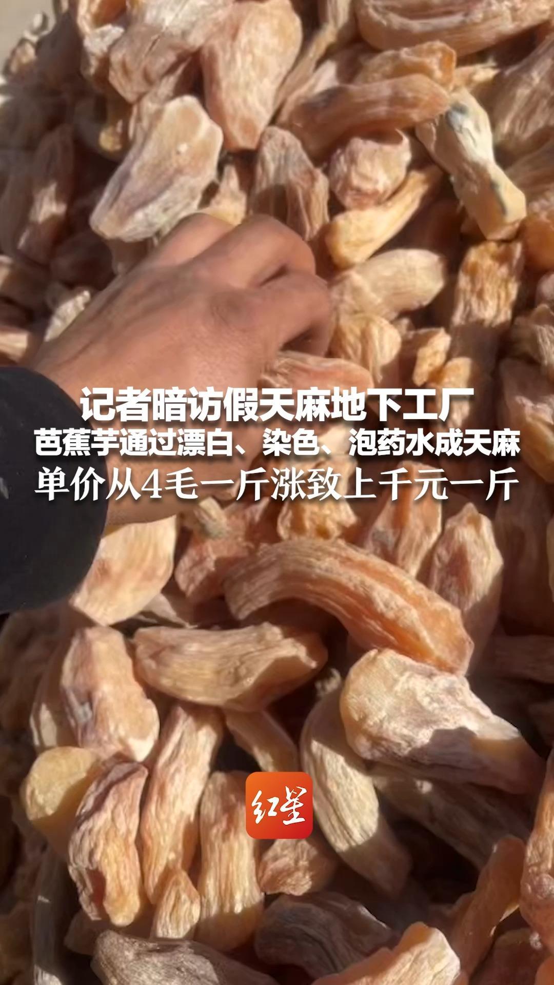 记者暗访假天麻地下工厂 芭蕉芋通过漂白、染色、泡药水成天麻 单价从4毛一斤涨致上千元一斤 学秘制药水配方需缴3万元