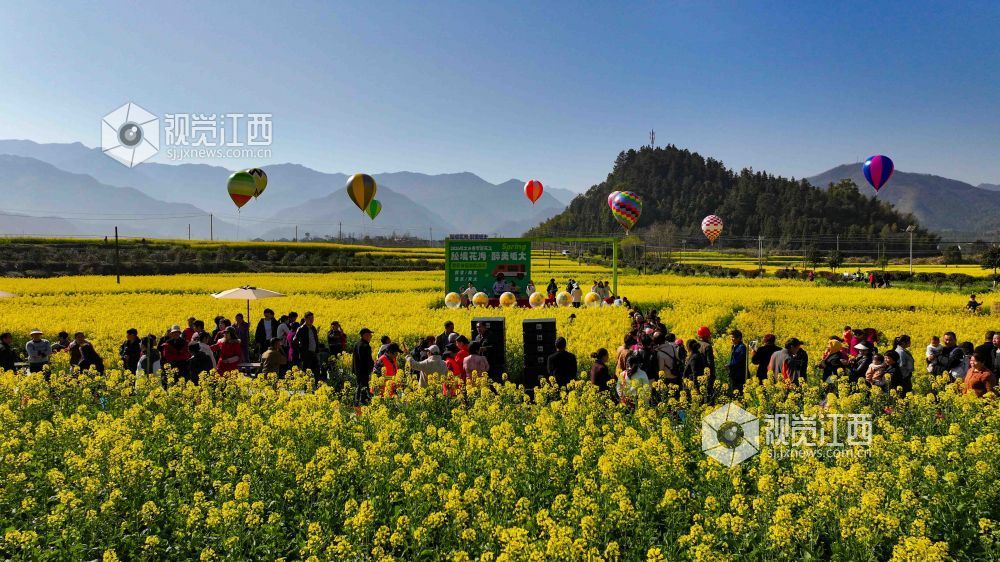 油菜花海迎客来（詹求昊 摄）