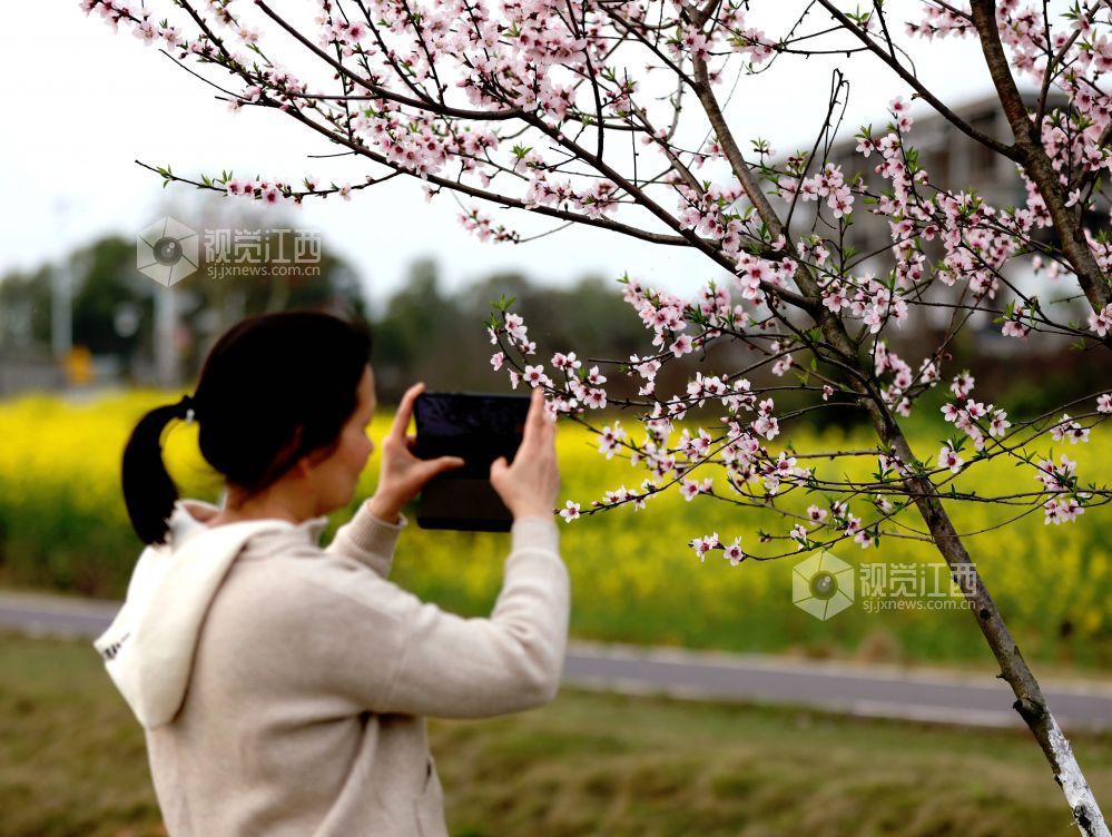 江西分宜：介溪湿地 春色宜人（图）