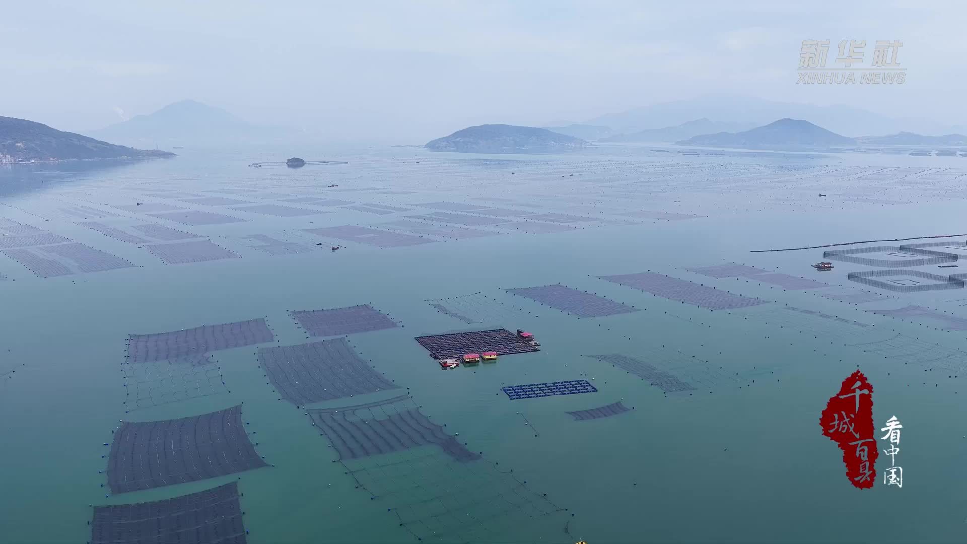 千城百县看中国丨福建霞浦：霞浦海参收获季