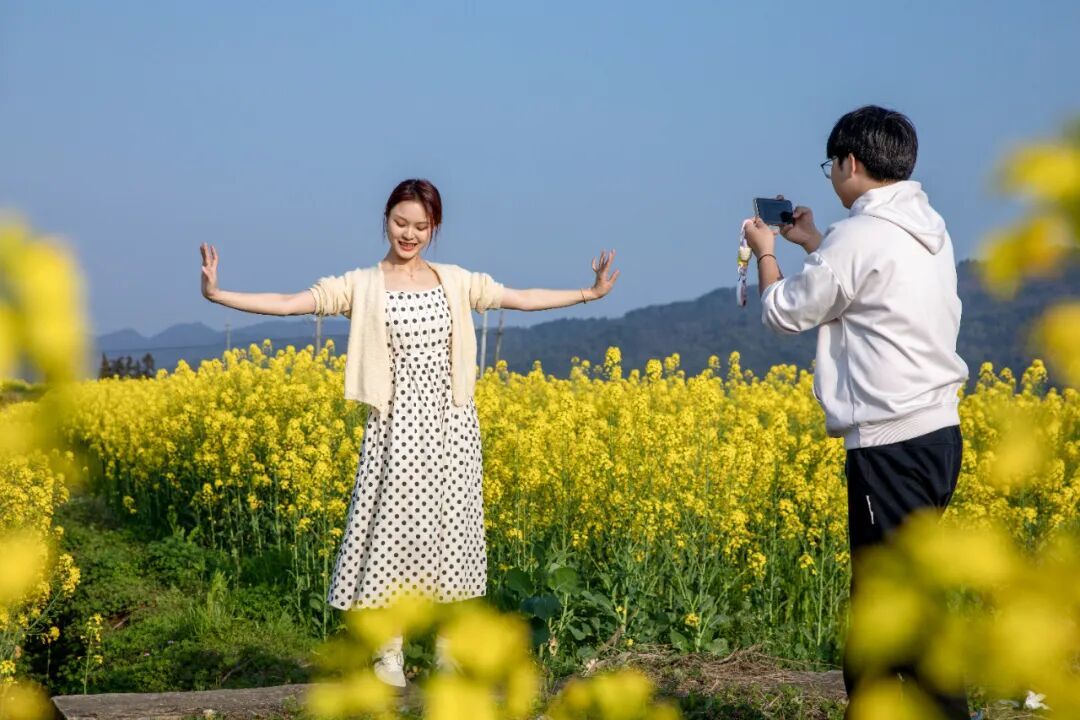 万亩油菜花海“金”艳登场，袁州这个村等你来打卡