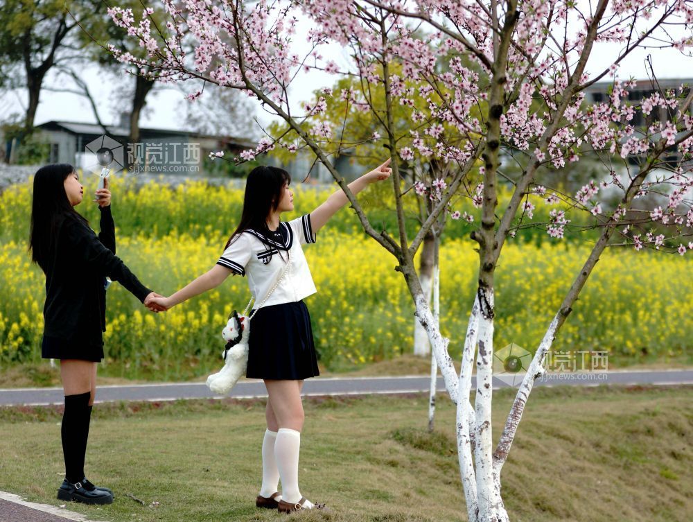 江西分宜：介溪湿地 春色宜人（图）