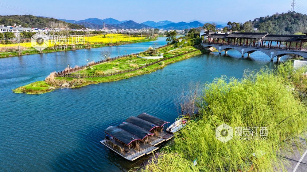 江西萍乡：油菜花开乡村美（图）