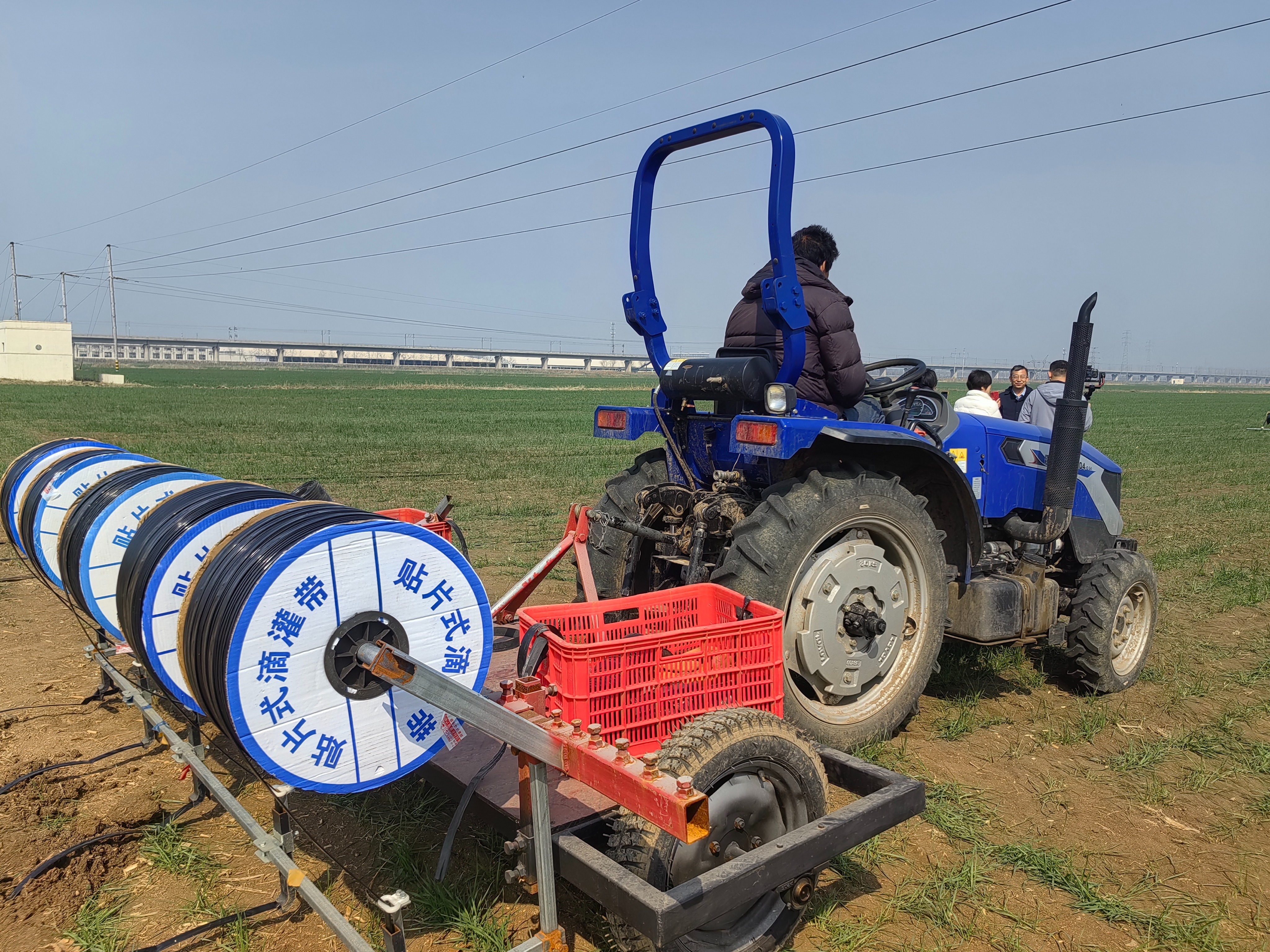 水肥精准“投喂”科技壮苗有方  全市绿色增粮小麦滴灌水肥一体化演示观摩活动在莱西市举行