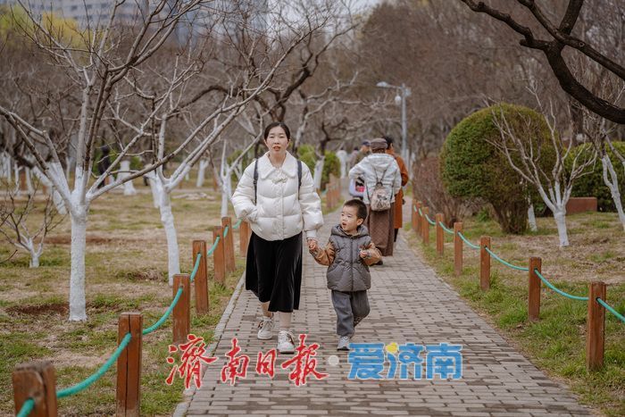 济南泉城公园：山杏花迎春绽放 市民踏青赏春正当时