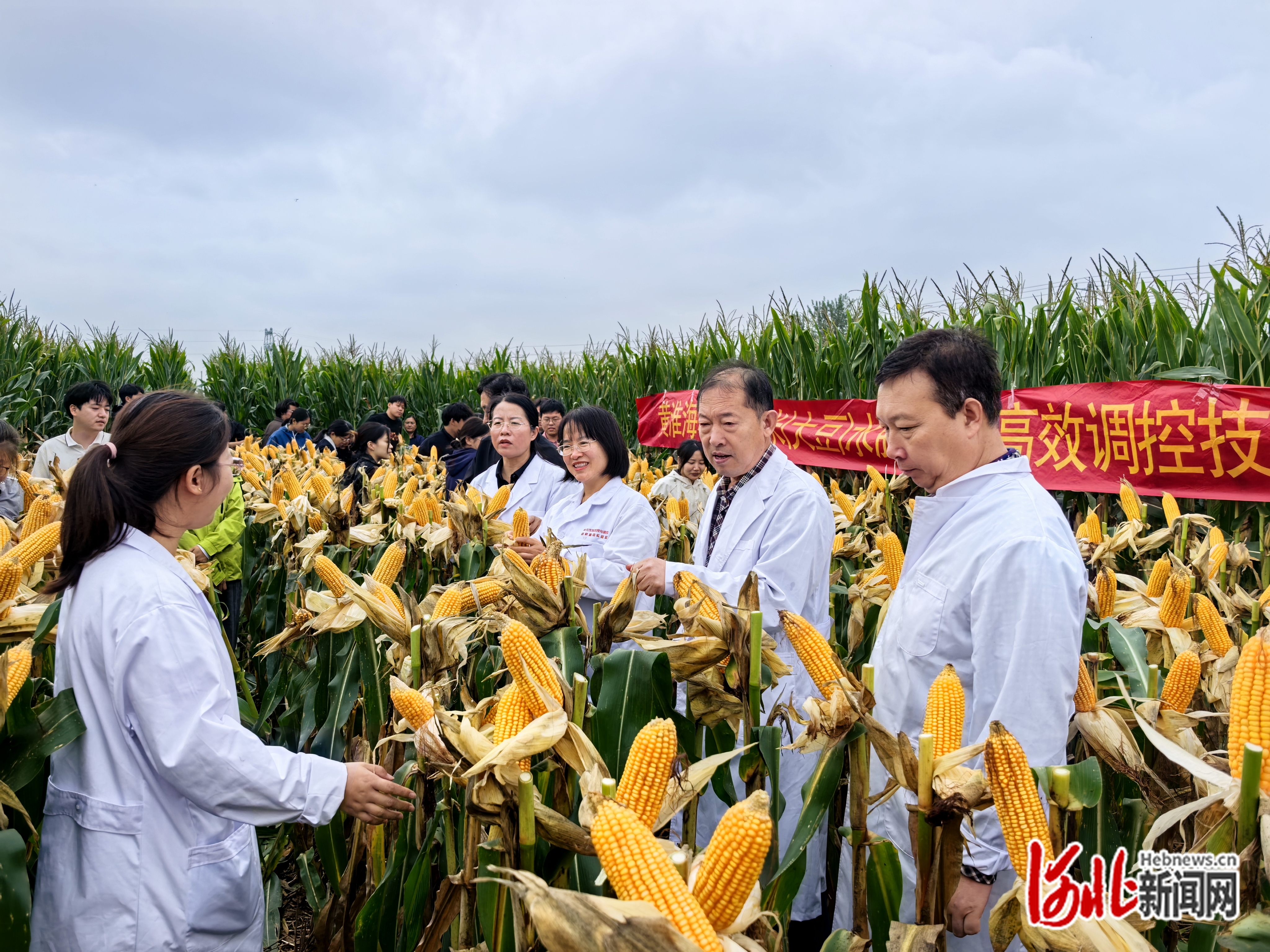 博士们在农田里调研。受访者门明新供图