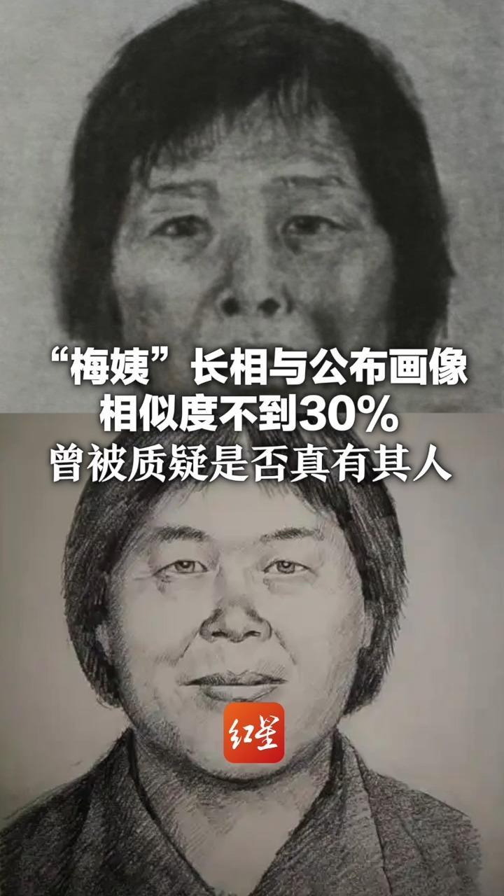 “梅姨”长相与公布画像相似度不到30% 曾被质疑是否真有其人 专家曾根据“梅姨”同居老汉描述绘制