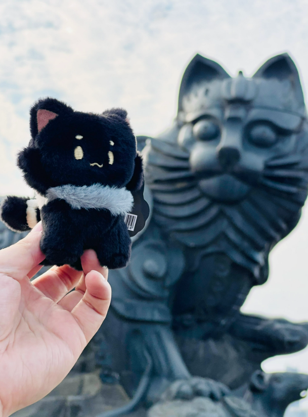 ▲黑猫系列文创产品。摄影｜江西日报全媒体记者徐黎明
