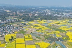 生态变现能源转型，看江西点绿成金