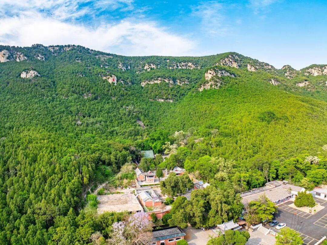 摄影:陈彦 往年4月于五峰山