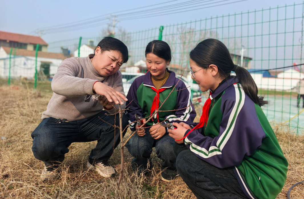 徐州“多彩新绿”，为何能凝聚一城力量？