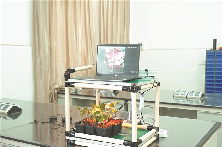 自主匹配补光方案。