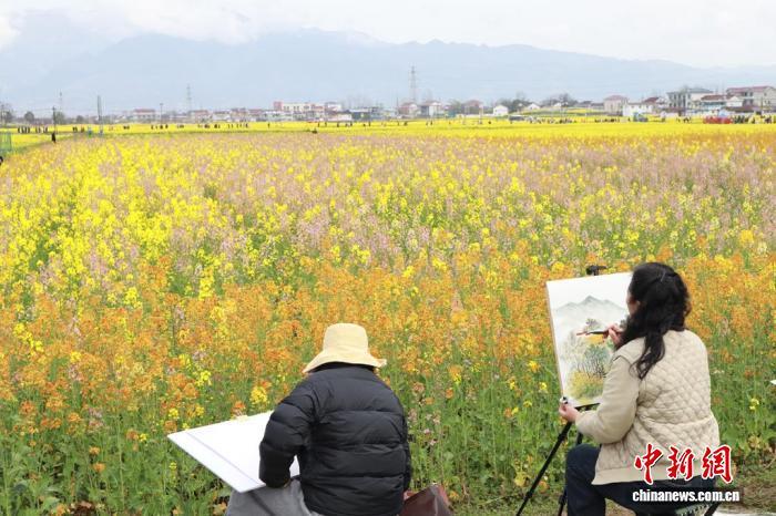 图为陕西省汉中市绘画爱好者在彩色油菜花田旁写生。　李一璠 摄