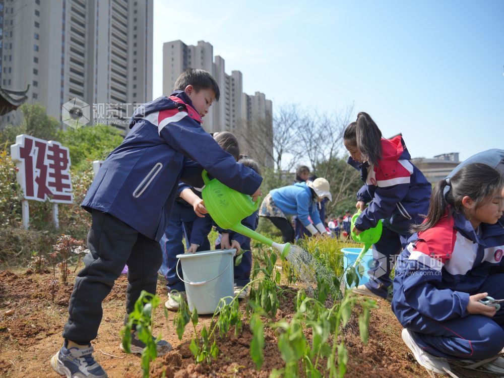 江西芦溪：中医药文化进校园（图）