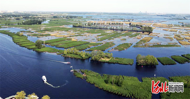 2025年10月航拍的白洋淀。（河北日报资料片）河北日报记者 刘光昱摄