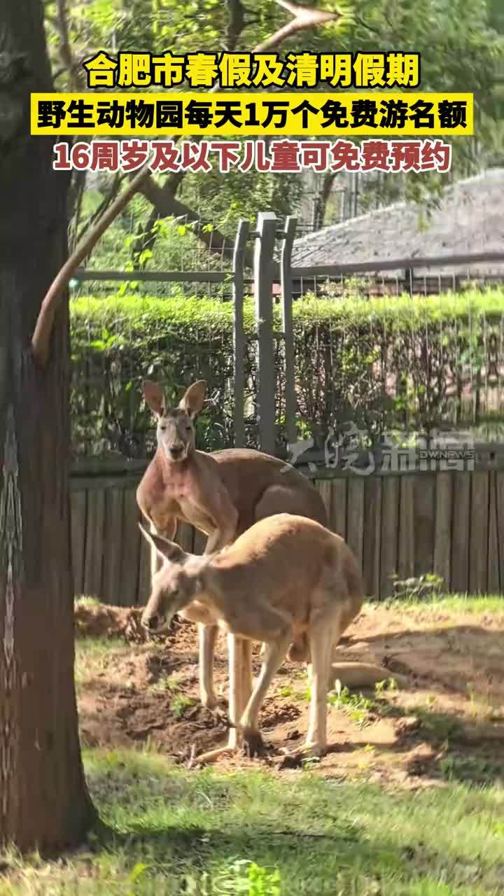 合肥市春假及清明假期 野生动物园每天1万个免费游名额 16周岁及以下儿童可免费预约         3月19日早，合肥市教育局官宣今年将实施春秋假。当天，合肥野生动物园发布信息，将在今年春假和清明假期