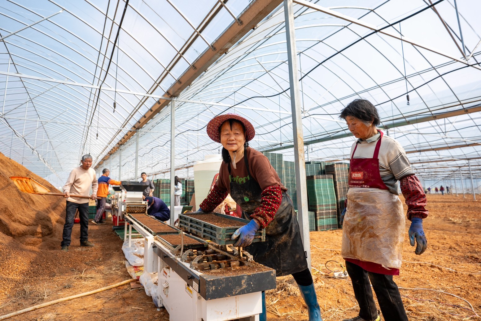 大棚育秧、良种示范、农技指导，新余各地抢抓农时忙春耕