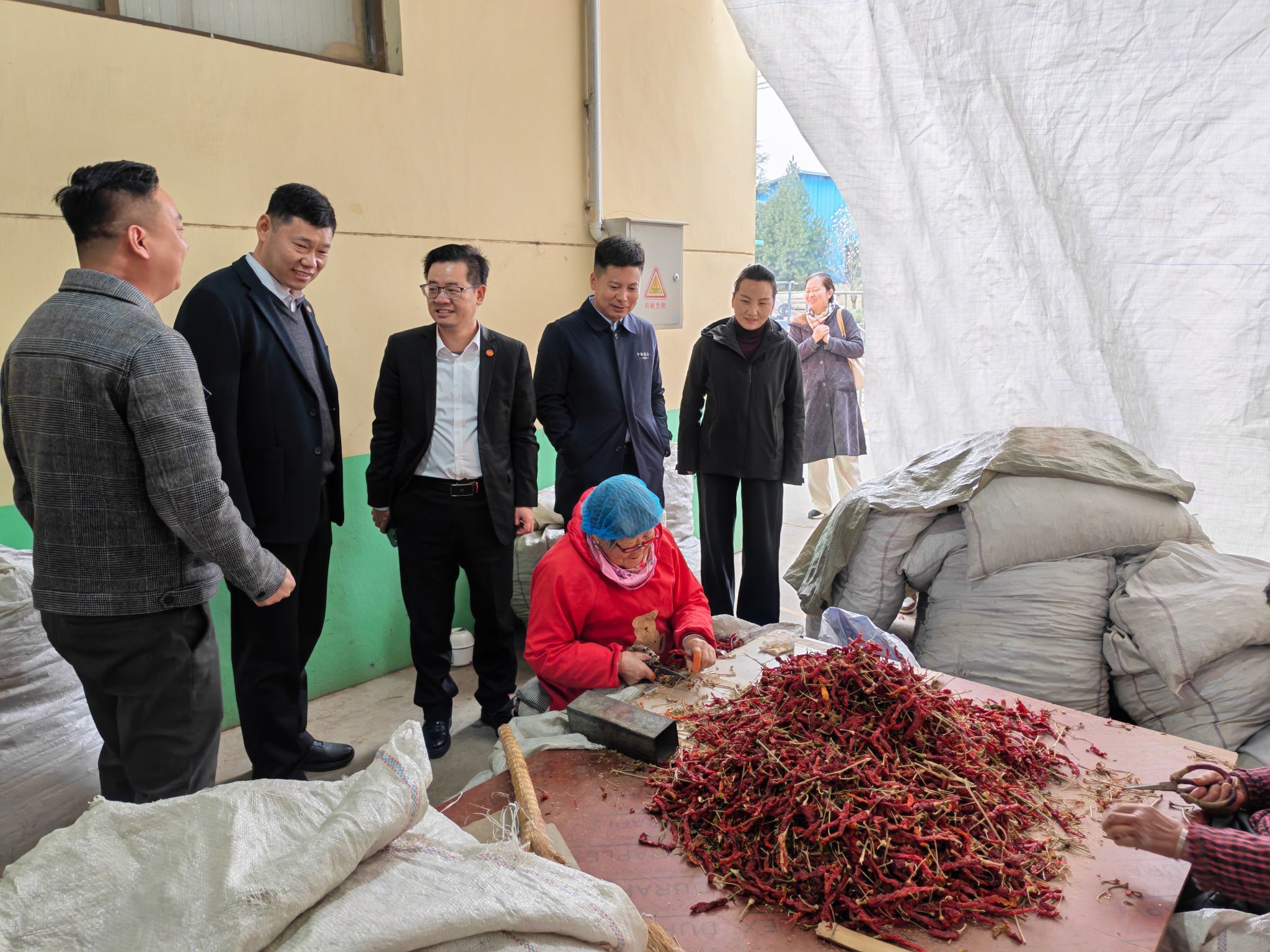 当地村民在德信食品公司挑拣辣椒