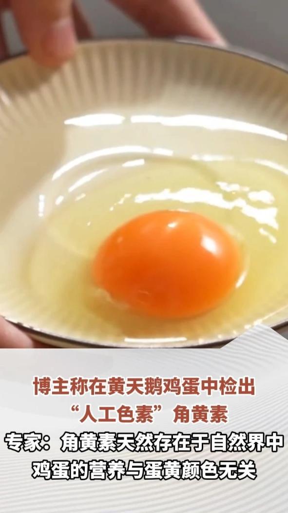 博主称在黄天鹅鸡蛋中检出“人工色素”角黄素，黄天鹅：产品已送检，否认添加人工合成色素。专家：角黄素天然存在于自然界中，鸡蛋的营养与蛋黄颜色无关（顶端新闻记者：张逸菲 编辑：任晓波）