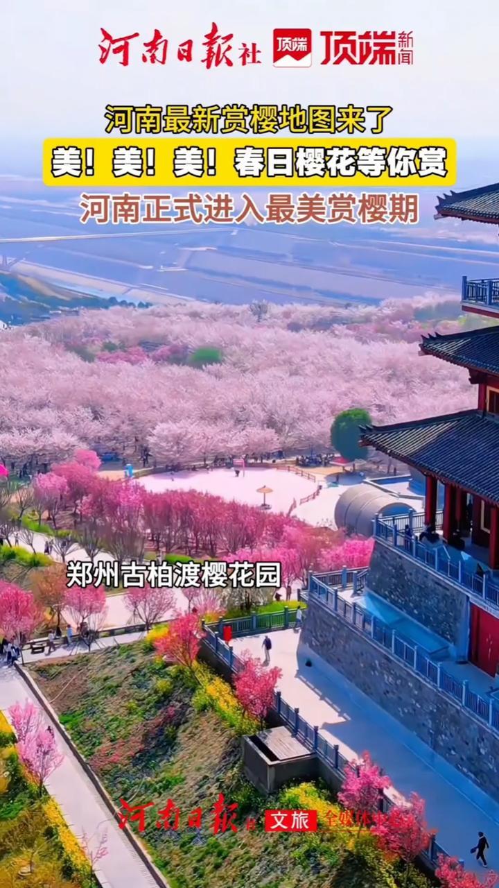 #2026河南樱花地图来了  春风拂面，万物复苏！河南正式进入了最美的赏樱期！#老家河南花海已上线  （顶端新闻记者 王莹莹）