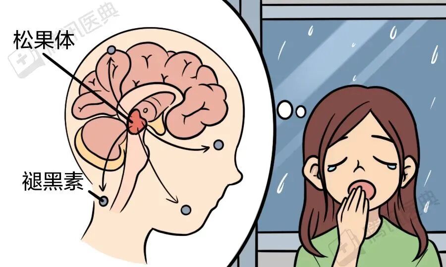 （来源：自己做的）