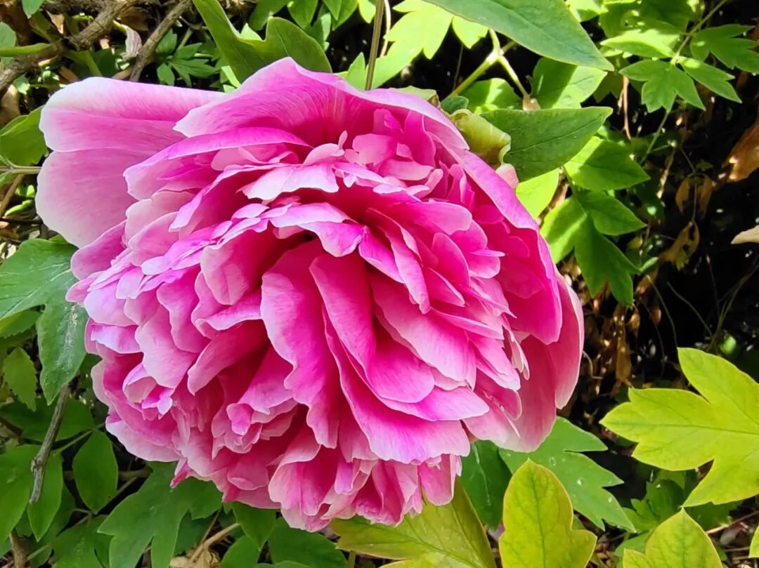 摄影:郭玉华、张洁