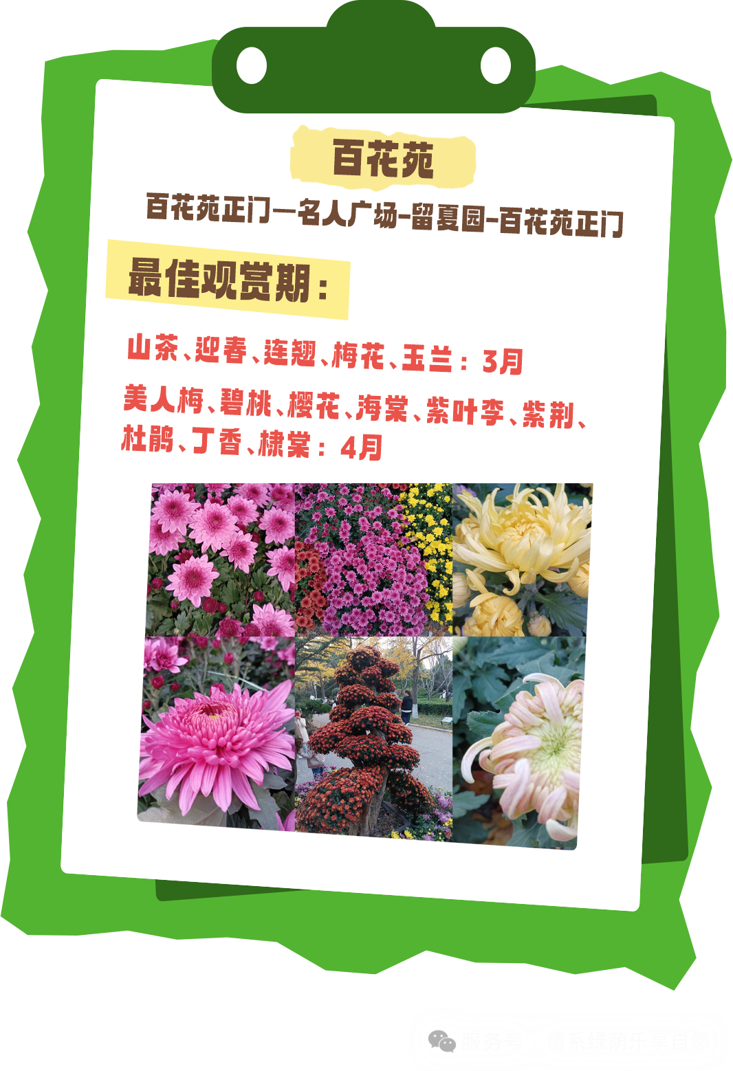 寻芳青岛 乐享自然——2026年全市赏花地图已发布，赏花采摘与自然教育融合上线啦