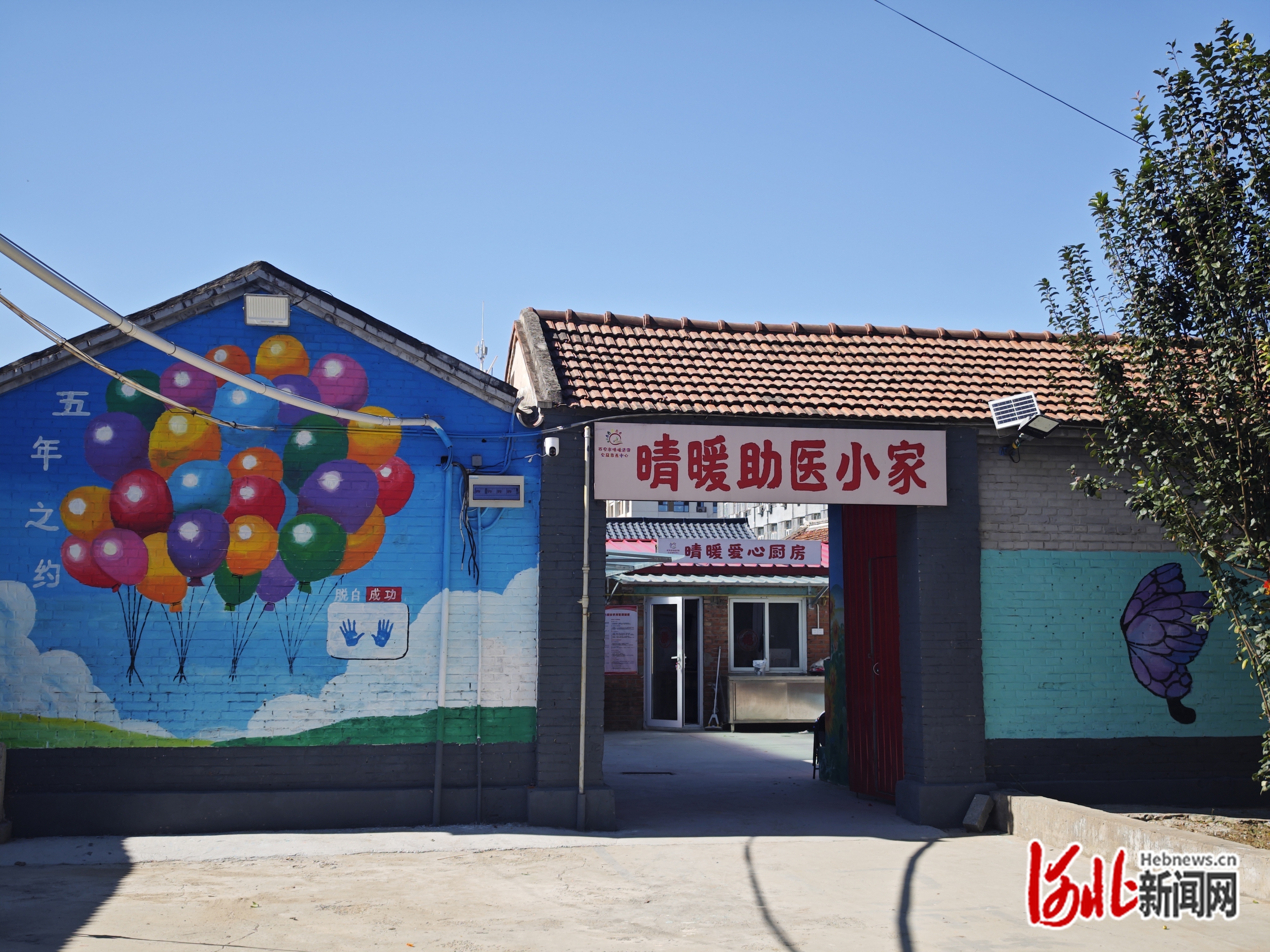 晴暖助医小家。杨丽君供图