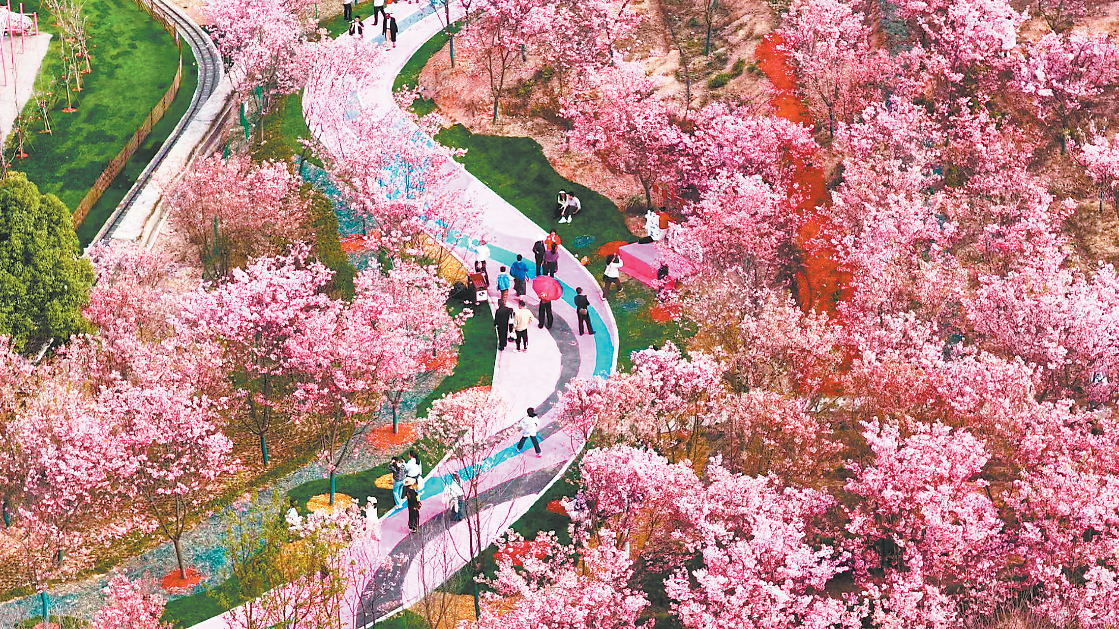 游客量增65%、综合收入破760万元，抚州灵谷峰这样“以新破局”