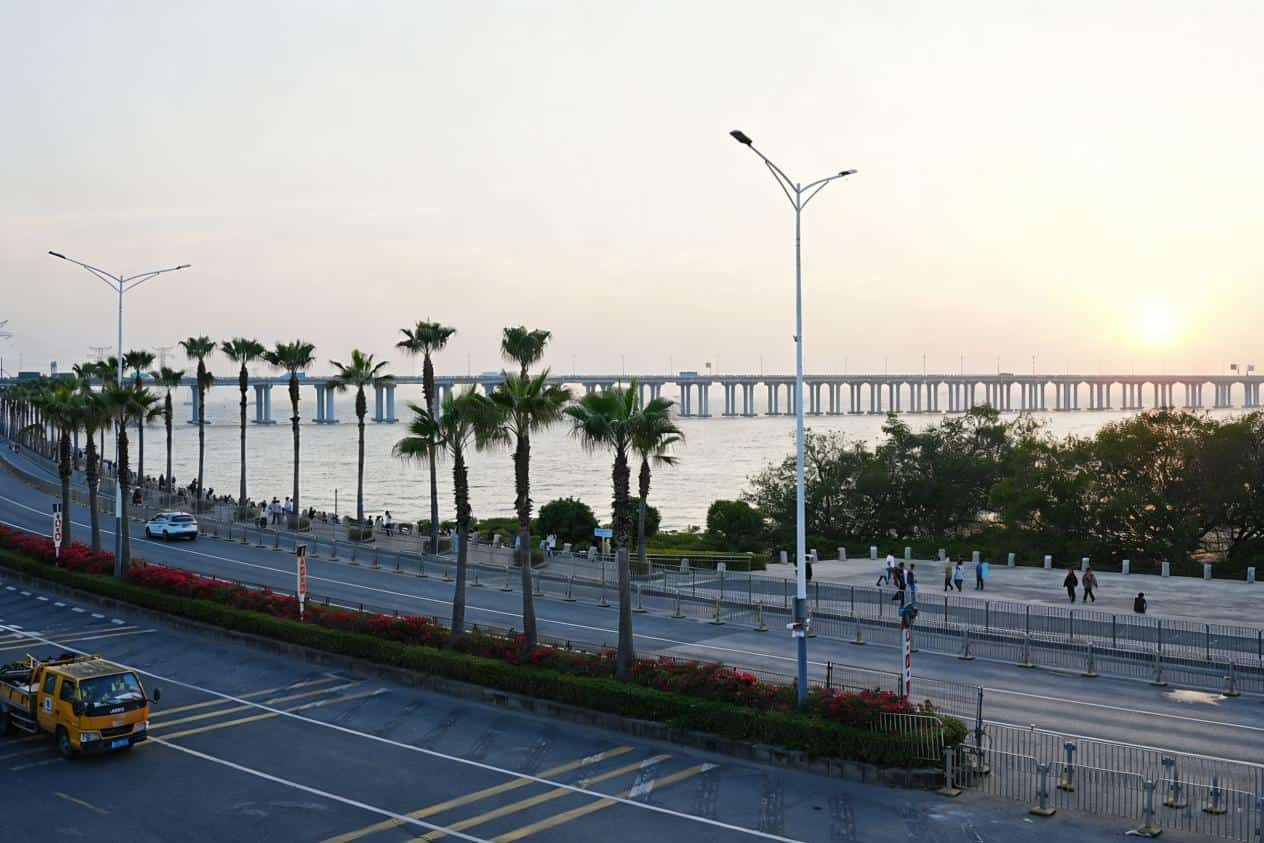 宝安西乡金湾大道簕杜鹃盛放，打造春日景观长廊