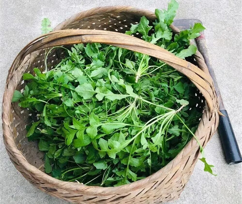 图源：甘肃发布