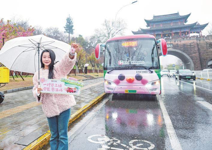 3月17日上午,首批游客踏上了刚刚开通的武汉文旅城市环游巴士。环游巴士线路串联江汉关博物馆、晴川阁、古琴台、武汉长江大桥、黄鹤楼、东湖梨园等核心点位,形成“一程览三镇”的黄金环线。单人票仅需9.9元,即可享受当日无限次上下车权益。运营时间为每日9:00-19:00,并将根据赏樱季、汉马赛事及五一黄金周客流情况弹性调整时长。楚天都市报极目新闻记者李辉摄