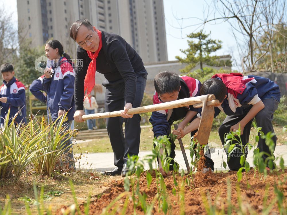 江西芦溪：中医药文化进校园（图）