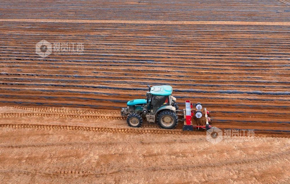 江西泰和：农机覆膜作业忙（图）